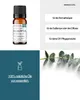 Eukalyptus globulus (10ml)  - naturreines, ätherisches Öl Produktbild-Vorschau 2