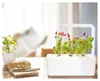 Peperoncino EMSA Click & Grow Anteprima dell’immagine prodotto 3