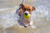 Hundespielzeug Karlie Spielzeugtrommel Inhalt 12 Produktbild-Vorschau 7