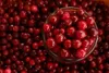 Ponthier CRANBERRY PÜREE Moos-Beeren-Frucht-Püree 2x 1KG Produktbild-Vorschau 4