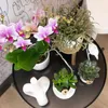 Orchidée Phalaenopsis « Mineral Rotterdam » rose, Ø 9 cm, Voir les images du produit 5