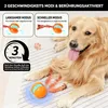 Hundeball automatisch interaktiv 2 Stück, mit Produktbild-Vorschau 7