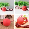 Wurfball Hund, 3 Stück Elastische Hundespielzeug Ball mit Produktbild-Vorschau 4