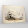 Bilder auf glas - Einteilig - Vogel Weiß Reiher - 100x70cm Produktbild-Vorschau 4