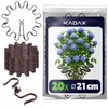 KADAX držák na trvalky kulatý Ø 21 cm v sadě po 20 kusech, Náhled obrázku produktu 1