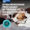 VIRBAC VEGGIEDENT FRESH gryzaki dla psa L Podgląd zdjęcia produktu 9