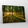 Bilder auf glas - Wald grün Sonnenstrahlen Natur - 100x70cm Produktbild-Vorschau 4