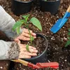 Zestaw narzędzi ogrodowych dla dzieci 3 szt łopatka grabki Podgląd zdjęcia produktu 6