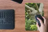 MuchoWow® Mauspad Mousepad Ein Faultier hängt an einem Ast Produktbild-Vorschau 4