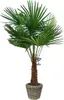 Rattanowa doniczka Drypot - ø 39 x 36 cm - Sadzarka z Podgląd zdjęcia produktu 5