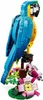 31136 - LEGO Creator - Perroquet exotique Voir les images du produit 5