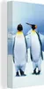 MuchoWow® - Leinwandbilder - Drei Pinguine Porträt, Produktbild-Vorschau 1