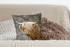 MuchoWow® Zierkissen Sofakissen Wohnzimmer Dekokissen 45x45 Produktbild-Vorschau 4