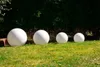 Four white garden spheres of varying sizes are placed on a green lawn in front of a dark green hedge. Anteprima dell’immagine prodotto