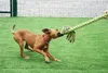 Happy Pet King Size Tug Flostouw Produktbild-Vorschau 4