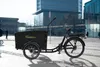 SachsenRAD E-Lastenrad T1, Flexible Transportbox mit Produktbild-Vorschau 6