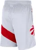 Hosen Nike Nba Toronto Raptors Home CN8088100 Produktbild-Vorschau 3
