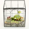 Handgefertigtes terrarium in Hausform mit schwingendem Produktbild-Vorschau 5