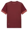 Puma Teamgoal Matchday - Maglia a maniche corte da uomo - Anteprima dell’immagine prodotto 8