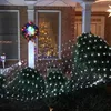 Christmas lights decorating bushes and a wreath on a house. Produktbild-Vorschau