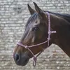 Waldhausen Knotenhalfter viele Farben, Farbe:schwarz/braun, Produktbild-Vorschau 11