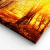 Bild auf Leinwand - Leinwandbild - Wald Baum Natur - Produktbild-Vorschau 5
