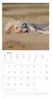 Alpha Edition - Welpen Kalender 2026 - Wandkalender 30x30 Produktbild-Vorschau 10