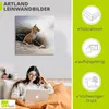 ARTland Leinwandbild Kleiner Fuchs Größe: 70x70 cm Produktbild-Vorschau 3