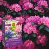 Rhododendrondünger 850G Gesunde und üppige Blüte Produktbild-Vorschau 7