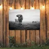 Gartenposter - 120x80 cm - Kühe am Morgen Nebel Produktbild-Vorschau 3