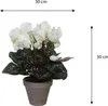 Mica Decorations Cyclamen plante artificielle dans pot de Voir les images du produit 2