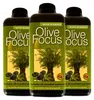 Growth Technology - Hnojivo na olivovníky 1000 ml - Olive Náhled obrázku produktu 3