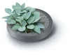 YourCasa Regentonne 230 Liter [Decore Design] - Nachhaltige Produktbild-Vorschau 9