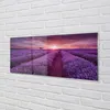 Glasbilder 125x50 Wandkunst Feld heathers Produktbild-Vorschau 2