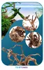 Legno Acquario Red Moor XXL 50-60 cm, decorazione naturale Anteprima dell’immagine prodotto 11