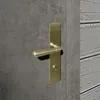A close-up of a golden door handle and lock mechanism on a gray door, with a wooden wall in the background. Produktbild-Vorschau