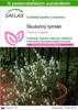 SAFLAX - Skutočný tymián - Thymus vulgaris - 200 Semená - S Náhľad obrázku produktu 1