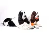 Lettore di palline per cuccioli e cani di piccola taglia 5 Anteprima dell’immagine prodotto 13
