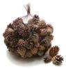 Kiefernzapfen 1 kg ca. 150 Stk 3-5 cm Pinus sylvestris Produktbild-Vorschau 1
