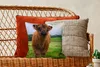 MuchoWow® Zierkissen Sofakissen Wohnzimmer Dekokissen 40x40 Produktbild-Vorschau 5