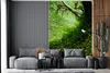 MuchoWow® Fototapete für Wohnzimmer oder Schlafzimmer Produktbild-Vorschau 2