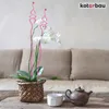 KOTARBAU® set di 4 supporti per piante rosa in PVC 55 cm Anteprima dell’immagine prodotto 2