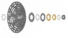 SHIMANO Ritzel für CS-M9100/CS-M8100/CS-M7100/CS-M6100 Kassetten 12-fach | 10+12 Zähne Produktbild-Vorschau