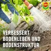 COMPO  Hornspäne 2,5 kg Produktbild-Vorschau 5