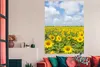 MuchoWow® Poster Sonnenblumen - Blumen - Wolken - Natur - Produktbild-Vorschau 3