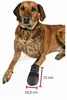 TRIXIE Pfotenschutz Walker Care, XXL, Polyester, Gummi, Produktbild-Vorschau 6