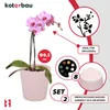 KOTARBAU® Set van 2 bloempotten, roze, geglazuurd keramiek, Productafbeelding-voorbeeld 5