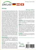 Artikelbild 2 von 'Moringa (Meerrettichbaum)' aus der Kategorie Exotische Samen Podgląd zdjęcia produktu