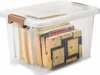 EZOWARE 16.1L Aufbewahrungsboxen transparenter Organizer Produktbild-Vorschau 4