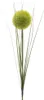 Kunstblumen Allium 66cm grün, 1 Stück Produktbild-Vorschau 1